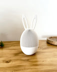 Coniglietto Pasqua Decorativo con Contenitore – Porta Ovetti
